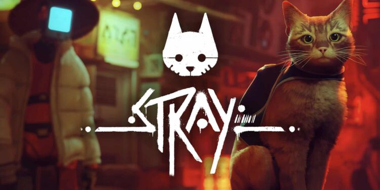Stray chega ao Switch 2 com suporte a 4K e upgrade gratuito